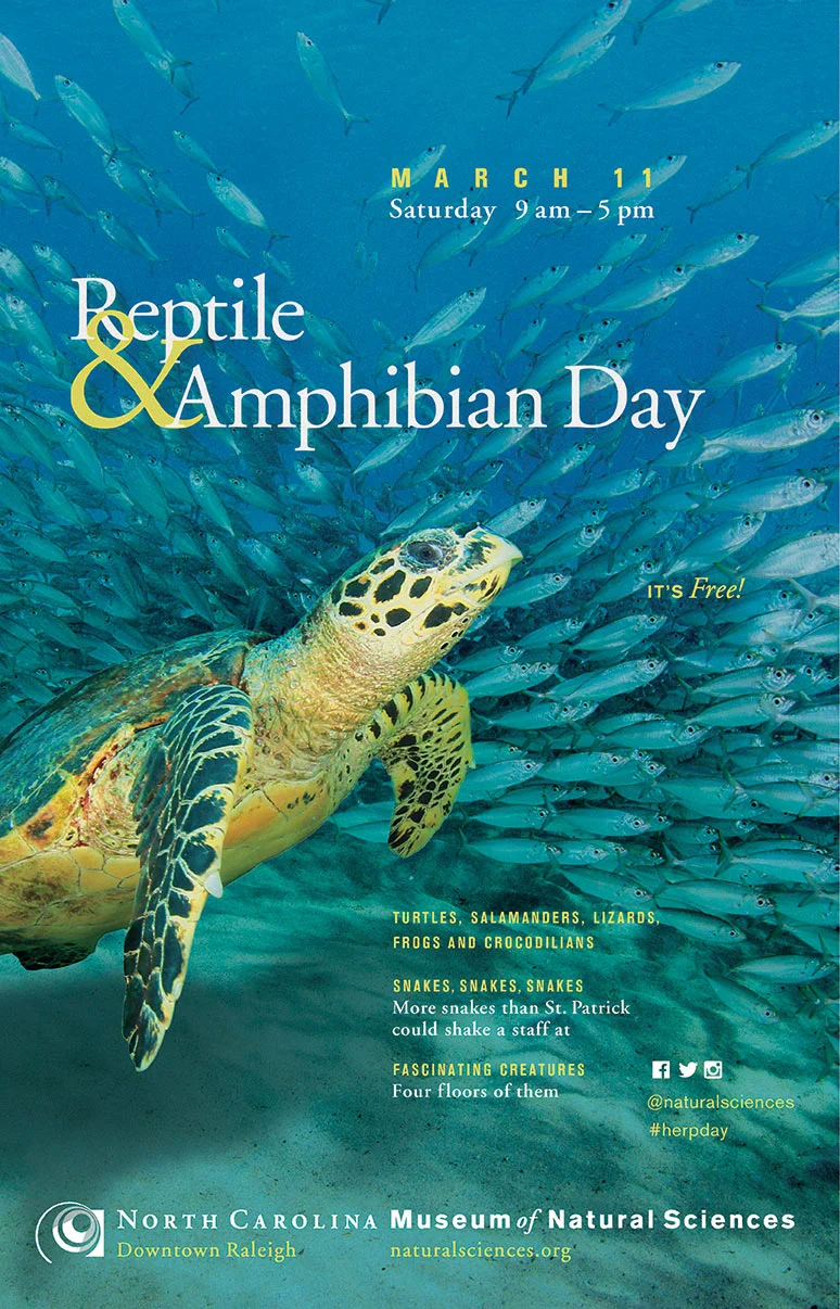Reptile & Amphibian Day 2017