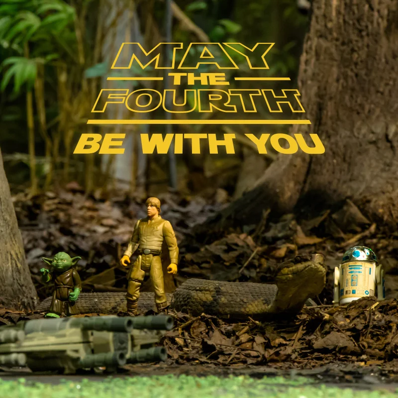 May4th_IMG0164_800x800.jpg