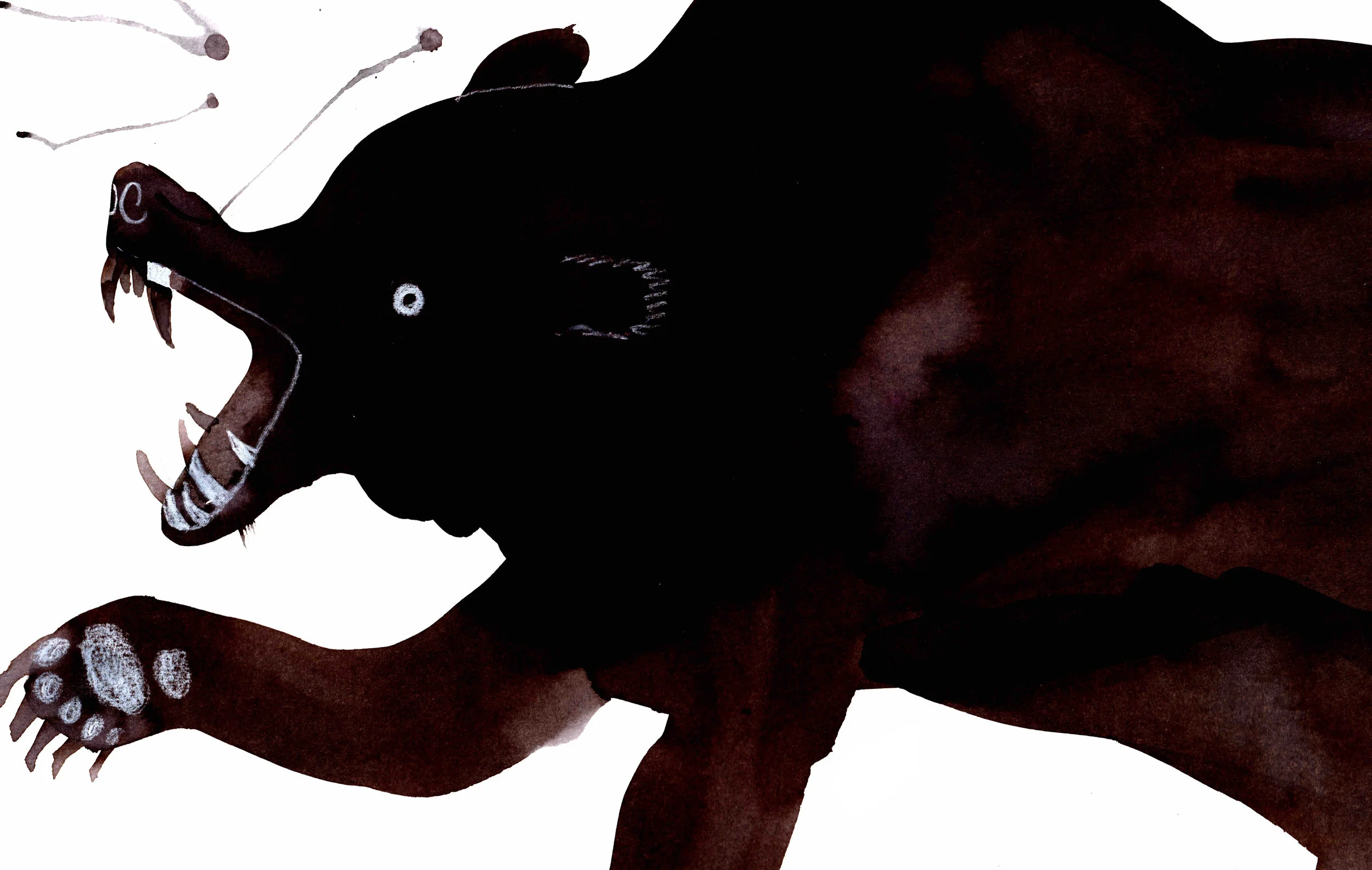 some thought we were their food.jpg