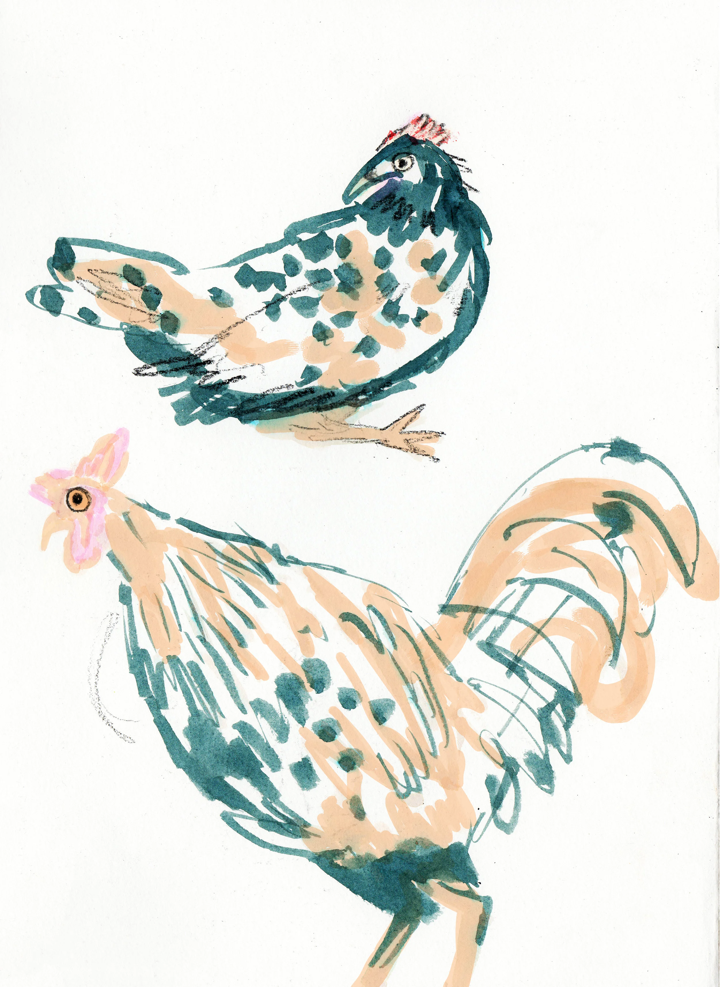 chickens 2.jpg