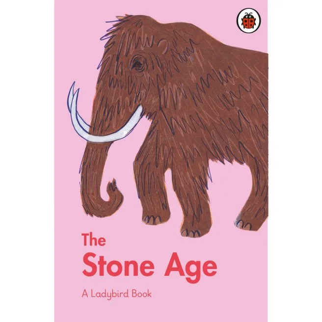 stone age cover.jpeg