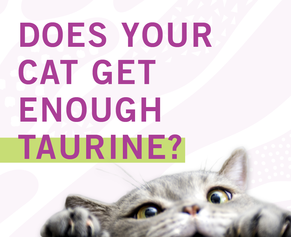  A technical infographic made fun. 