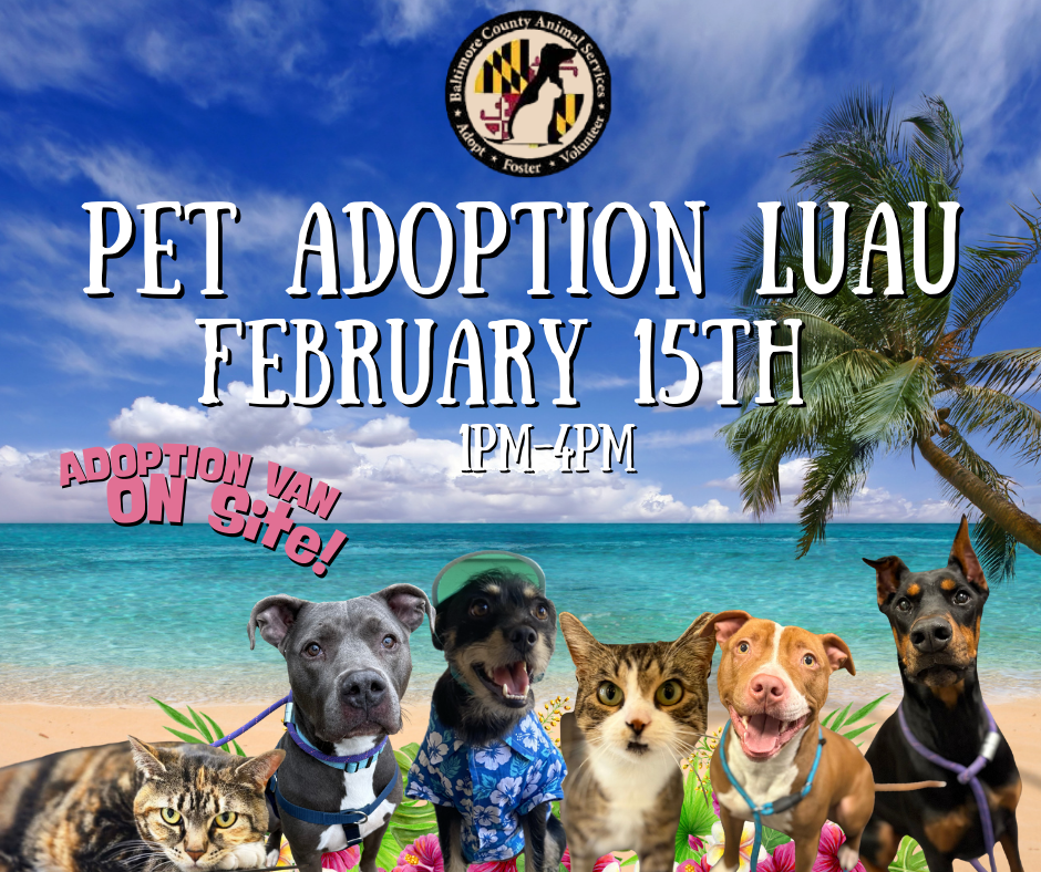 Adoption Luau with BCAS