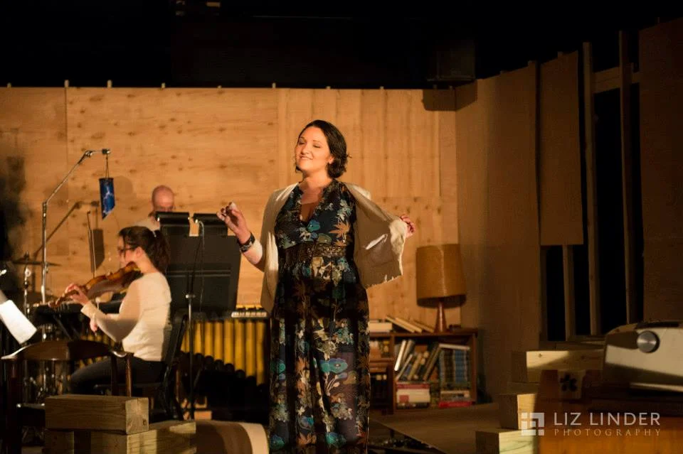 Pedr Solis: Guerilla Opera