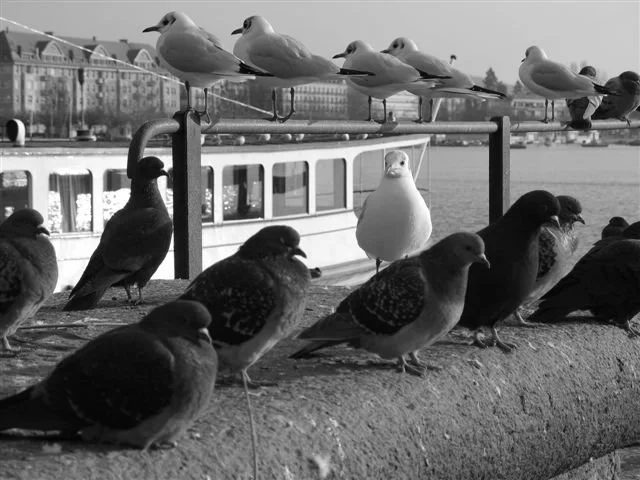 24ème jour: Truth is always exciting