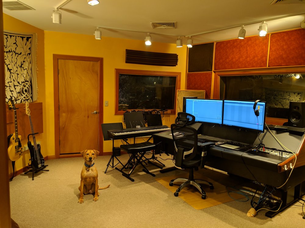 Boy & Dog Studios