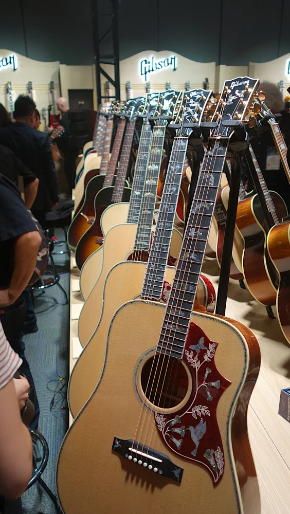 Gibson Acsoustic Array.JPG