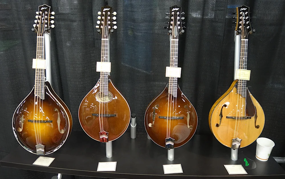 Collings Mandos 1.JPG