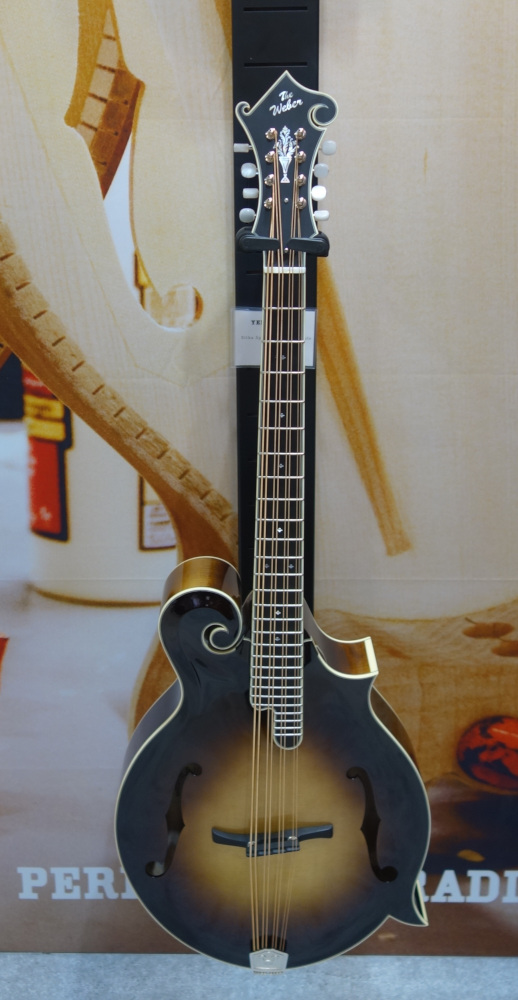 Loar2.JPG