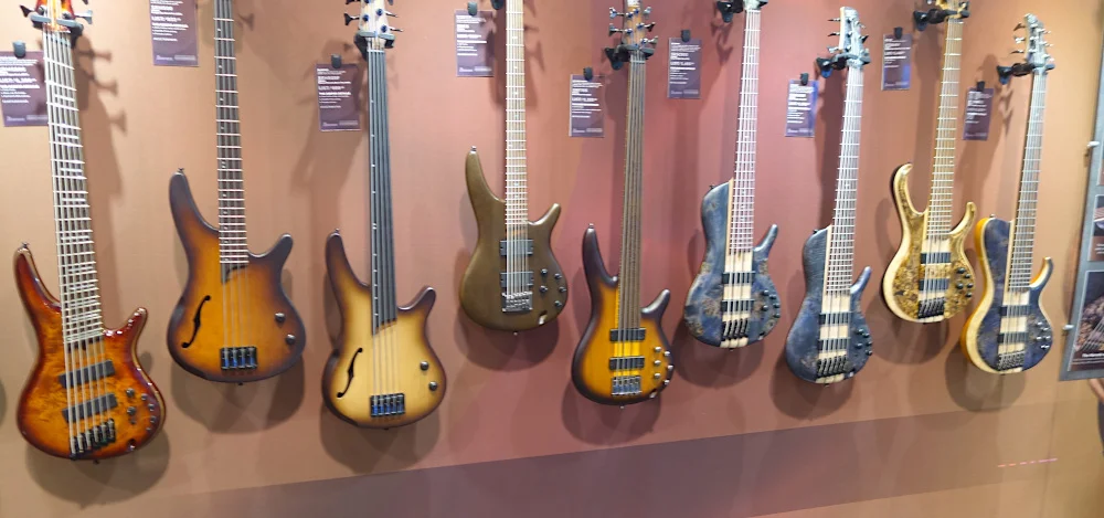 Ibanez Basses.JPG