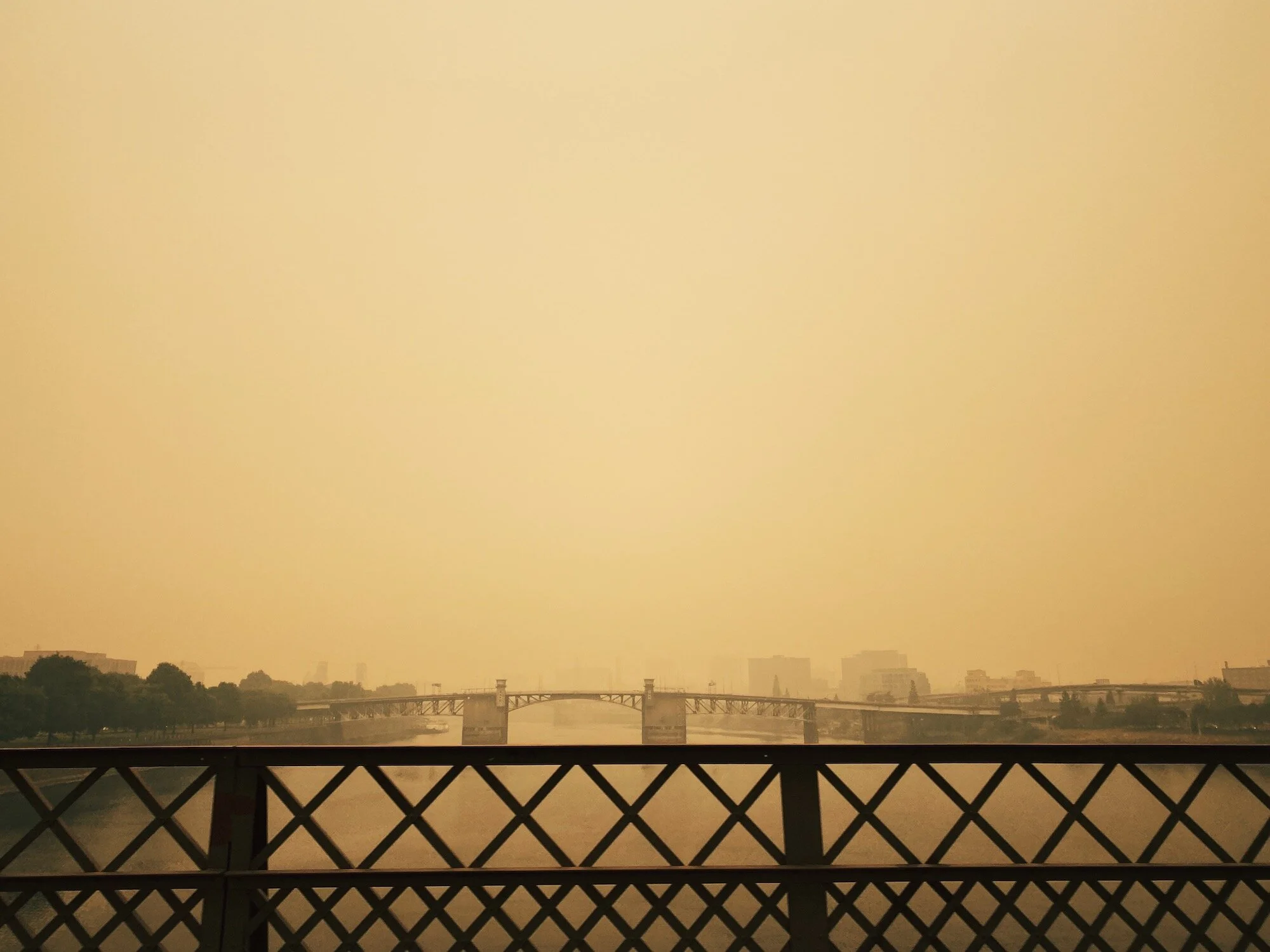Sepia-Colored Days