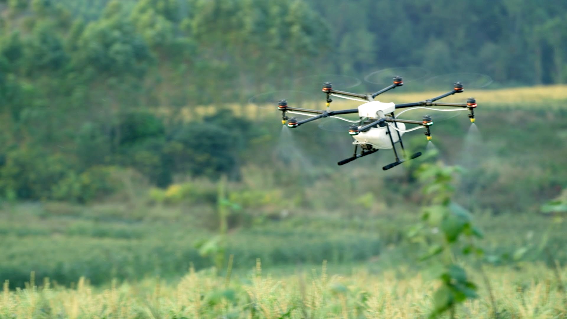drone%2Bin%2Bflight.jpg