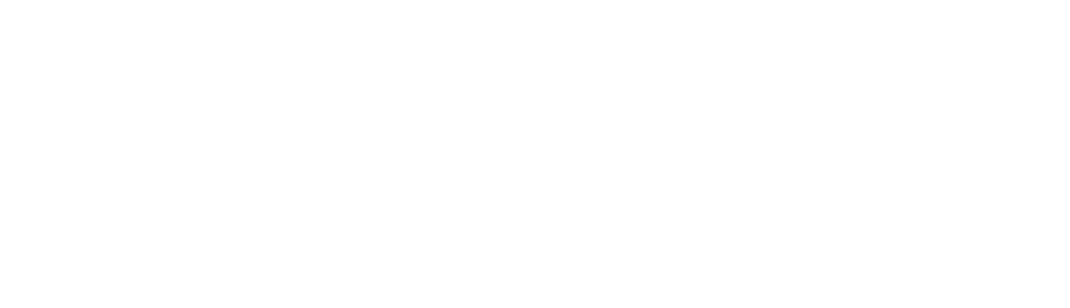 Maestro dance academy