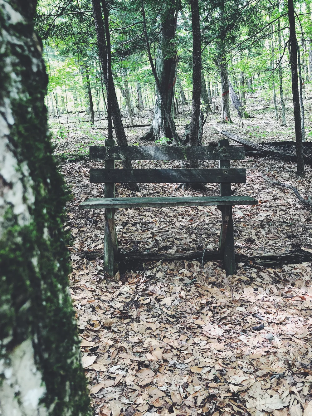 JPEG image-526F2A8F1E1C-3.jpeg