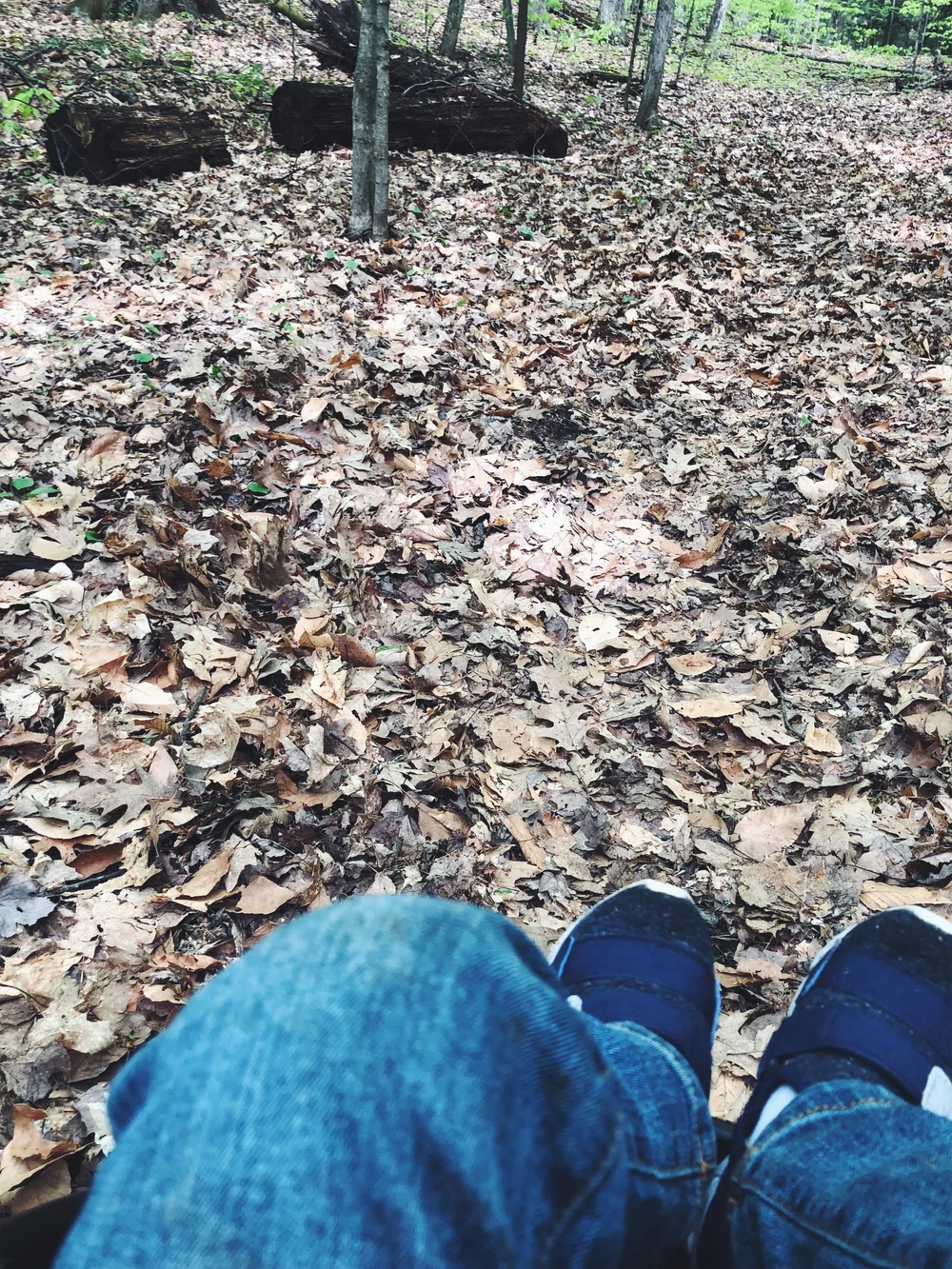 JPEG image-526F2A8F1E1C-5.jpeg