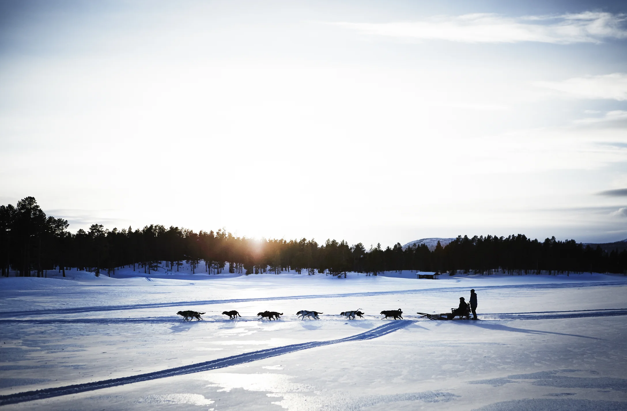 IKEA_Winter_12.jpg