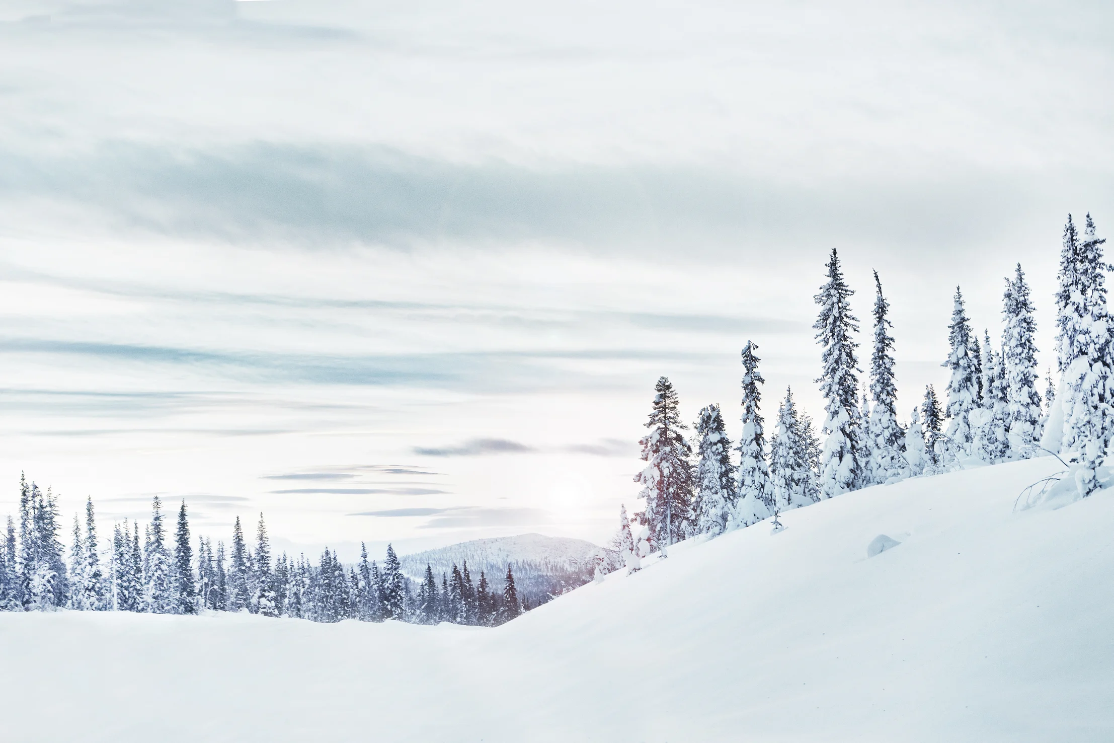 IKEA_Winter_23.jpg