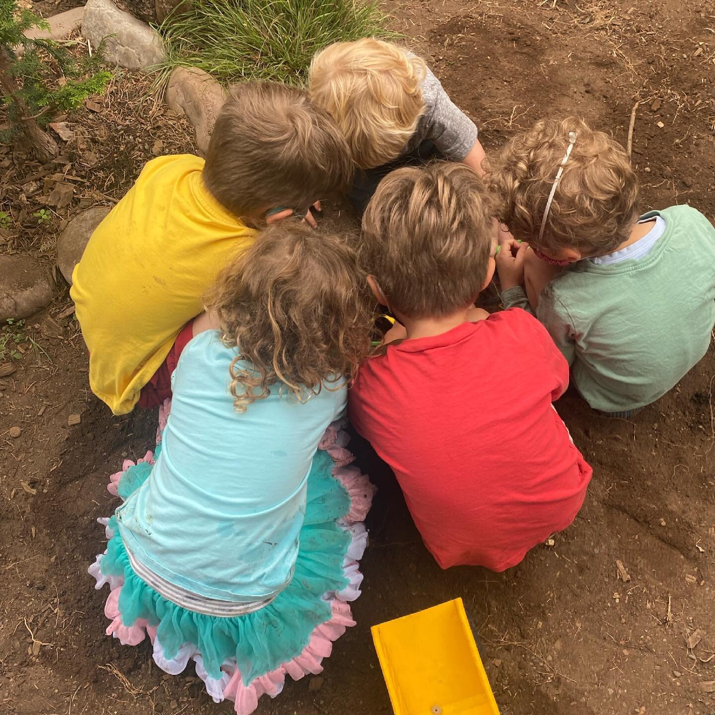 Paleontologists digging for fossils: Continuing our dinosaur exploration, we dug for dinosaur bones after talking about fossils and the history of dinosaurs and paleontology during snack time. It was a collaborative digging project that got so deep w