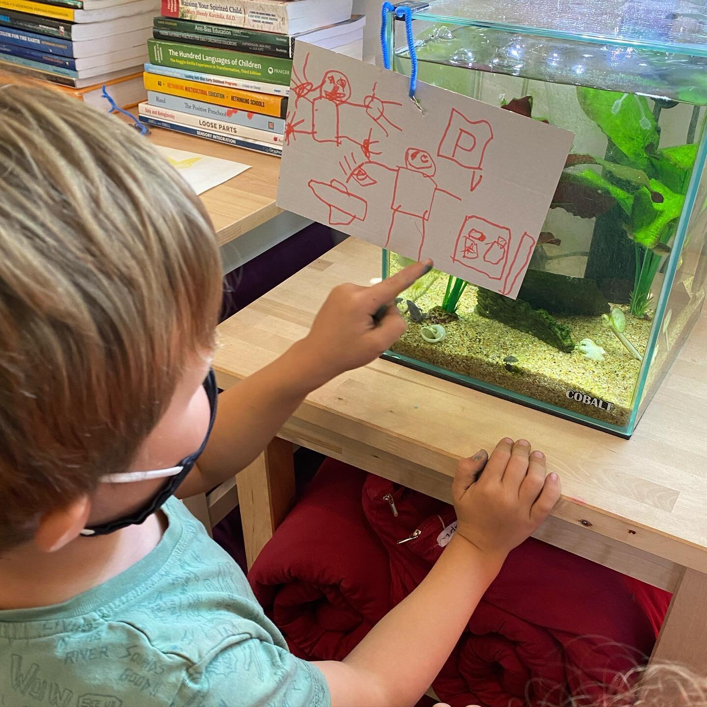Frog Mystery Part 2: Later in the day, Milo noticed &quot;something white floating&quot; in the aquarium and called me over. We found what looked to be the translucent whitish membrane of a frog (Mary and Todd suggested it looked like a ghost frog). 