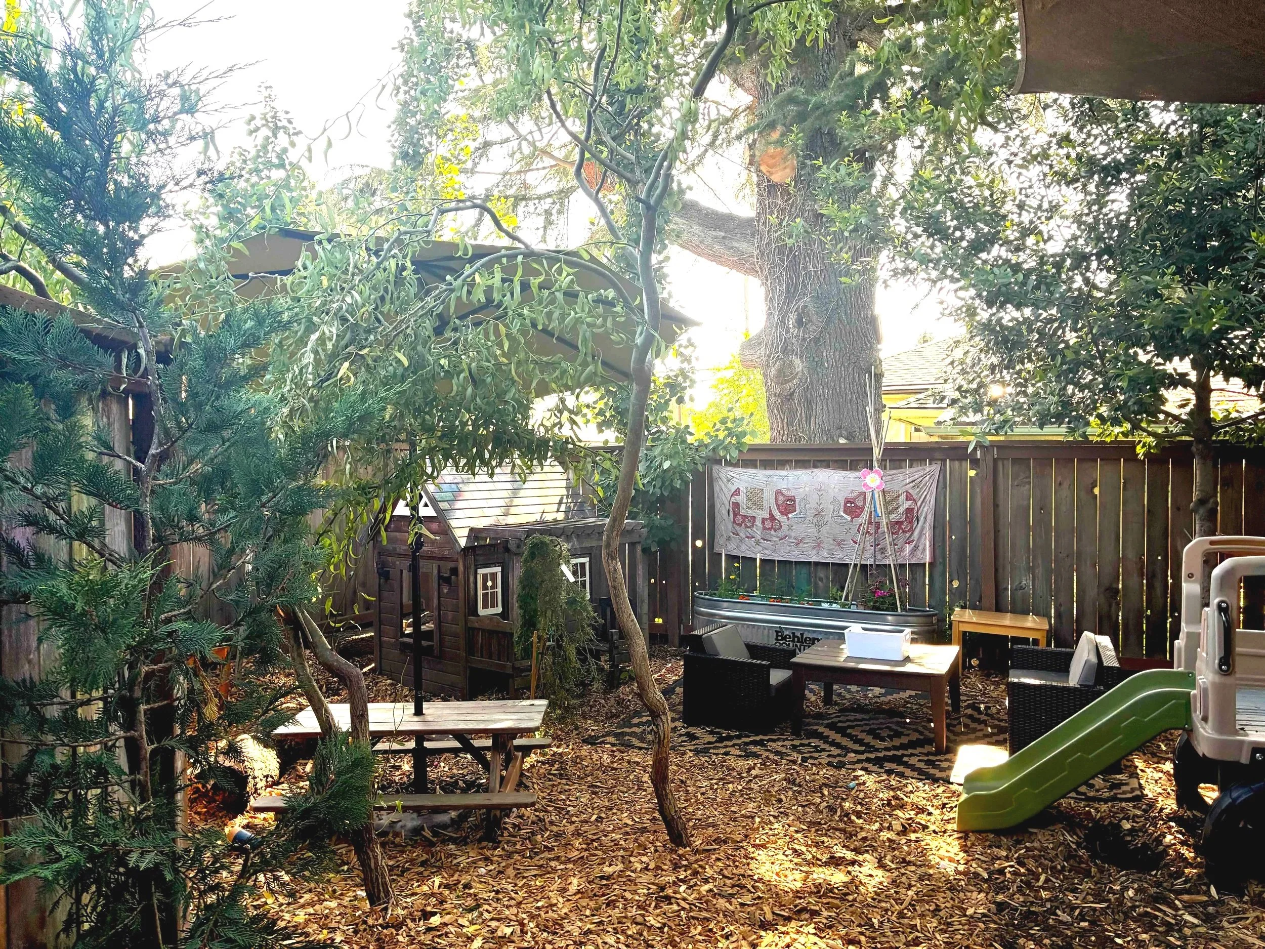 LFP Web Playhouse pic.jpg