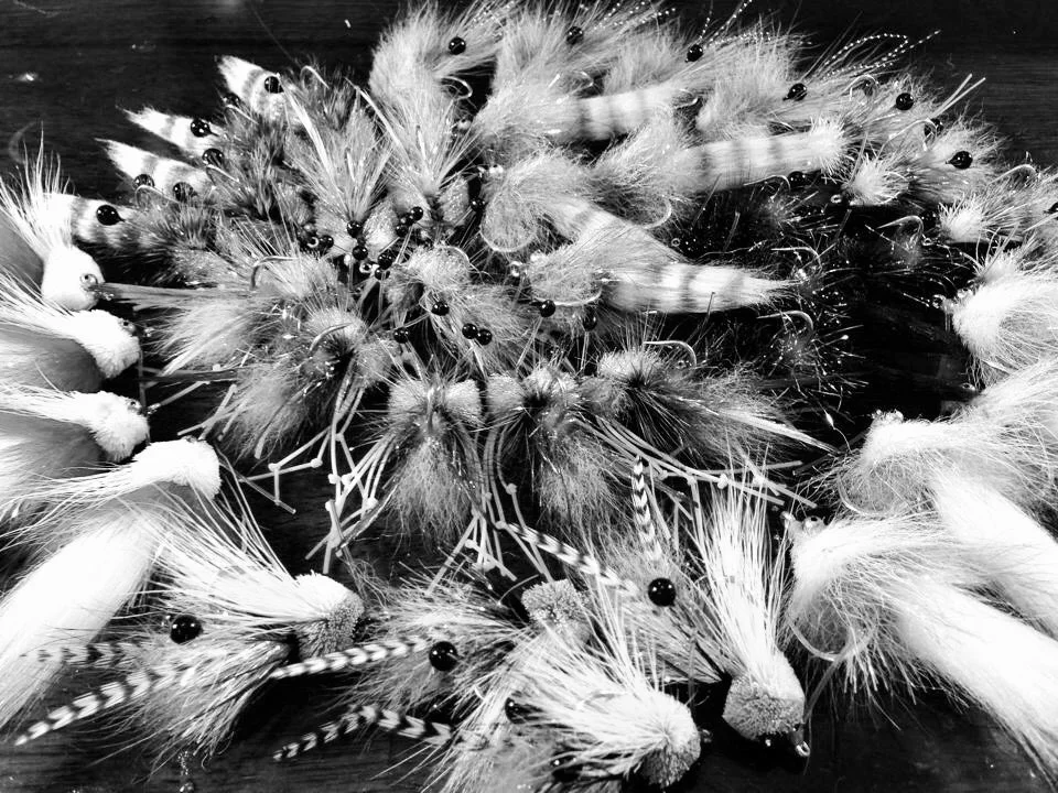 Home Rotating Picture 6.jpg