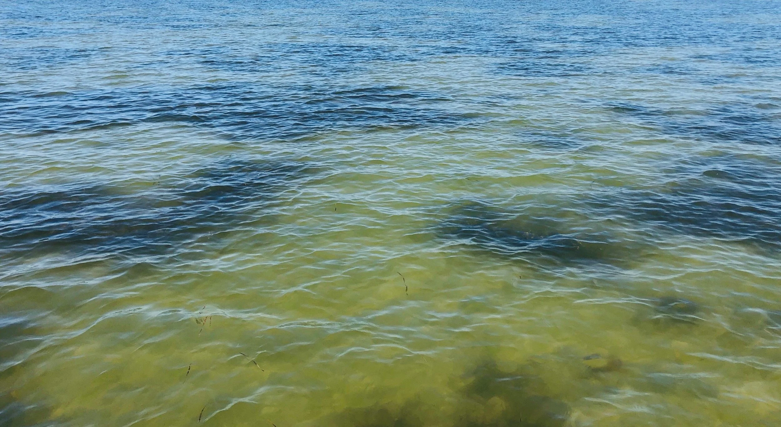 Home Rotating Picture 4.jpg