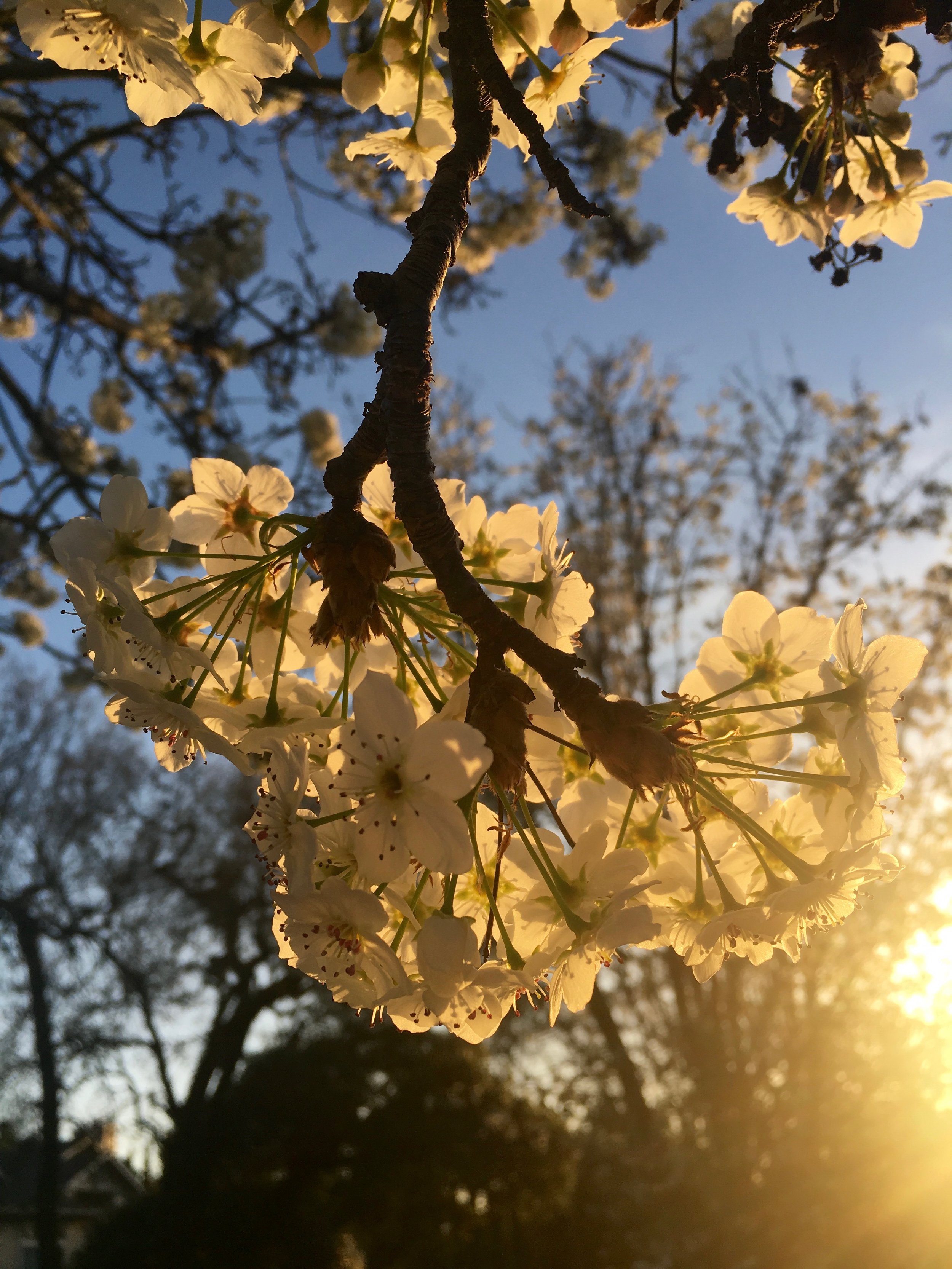 IMG_0399.jpeg