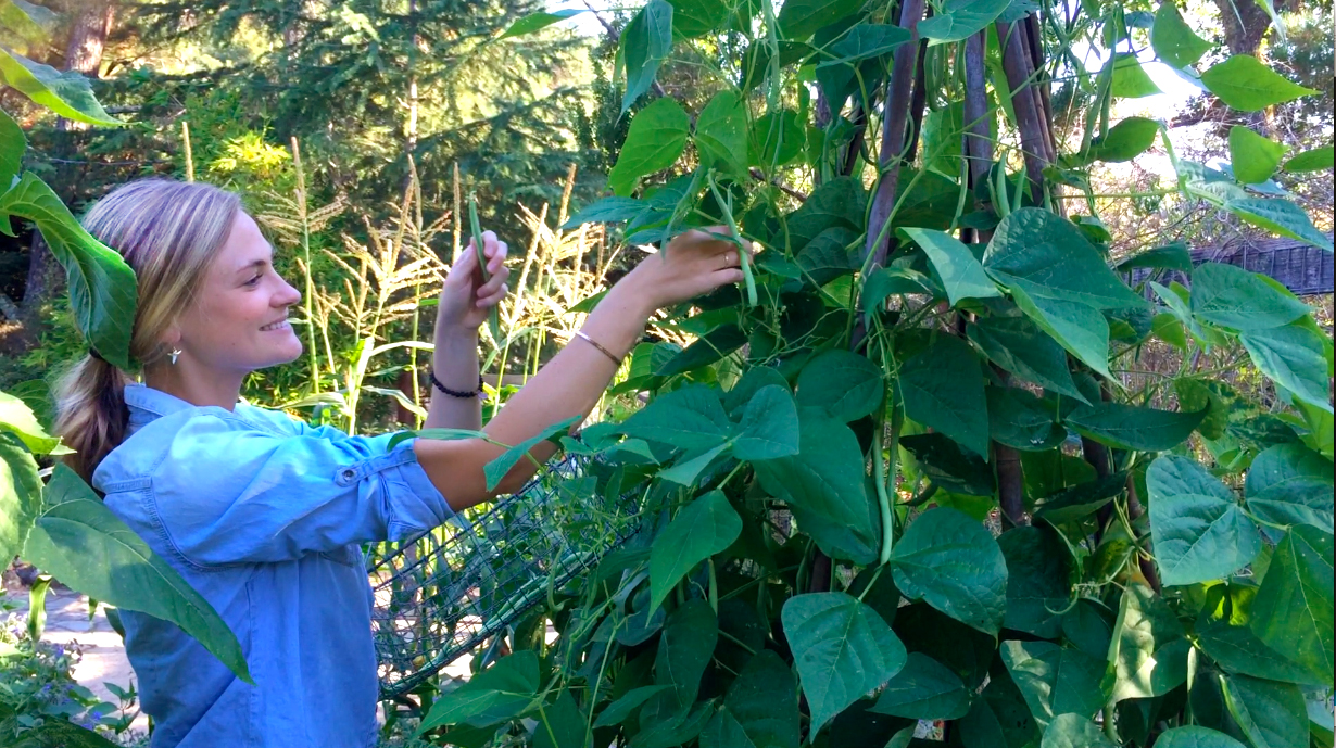 Cassie & green beans.jpg