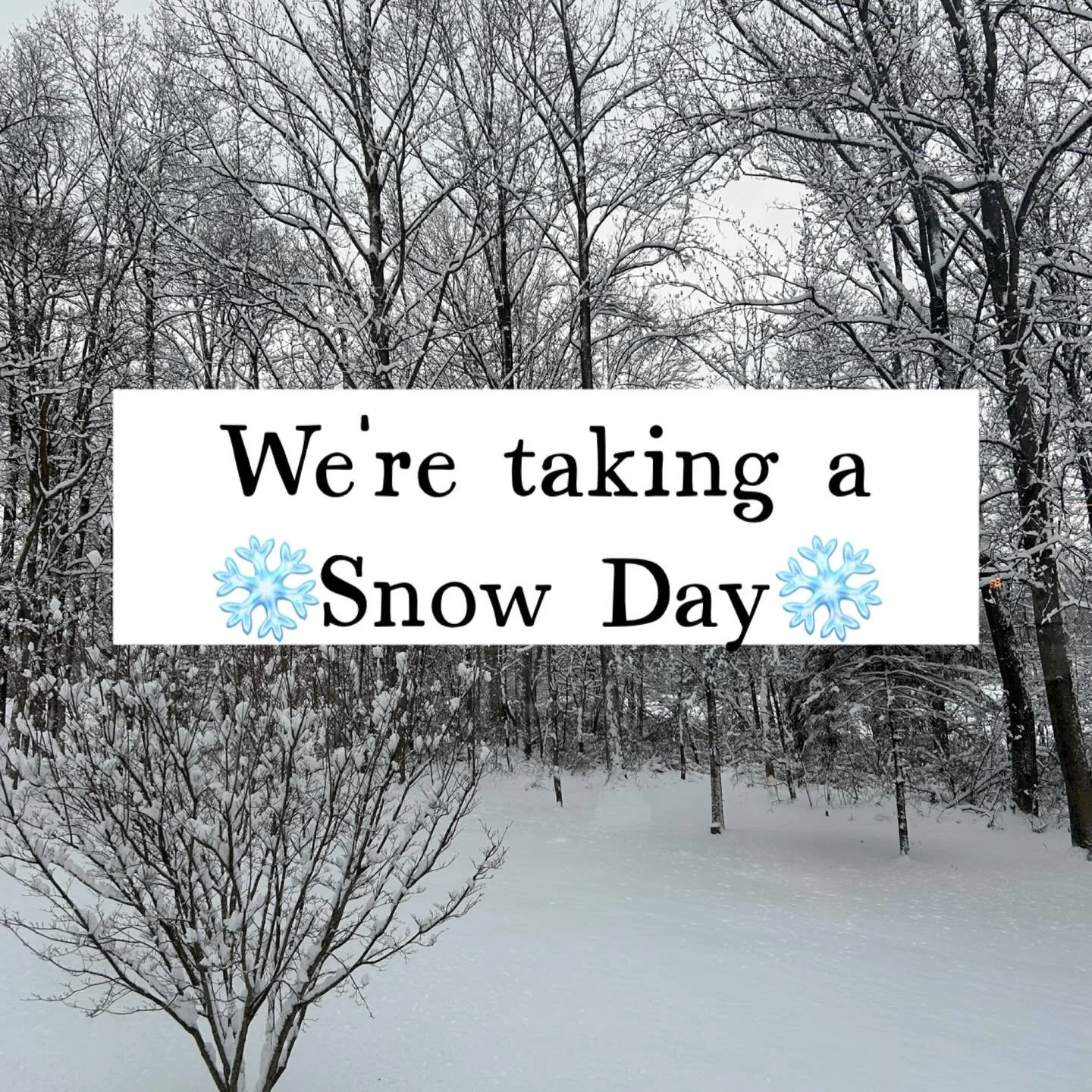 Enjoy the winter wonderland everyone! Closed today- see you tomorrow! ☃️