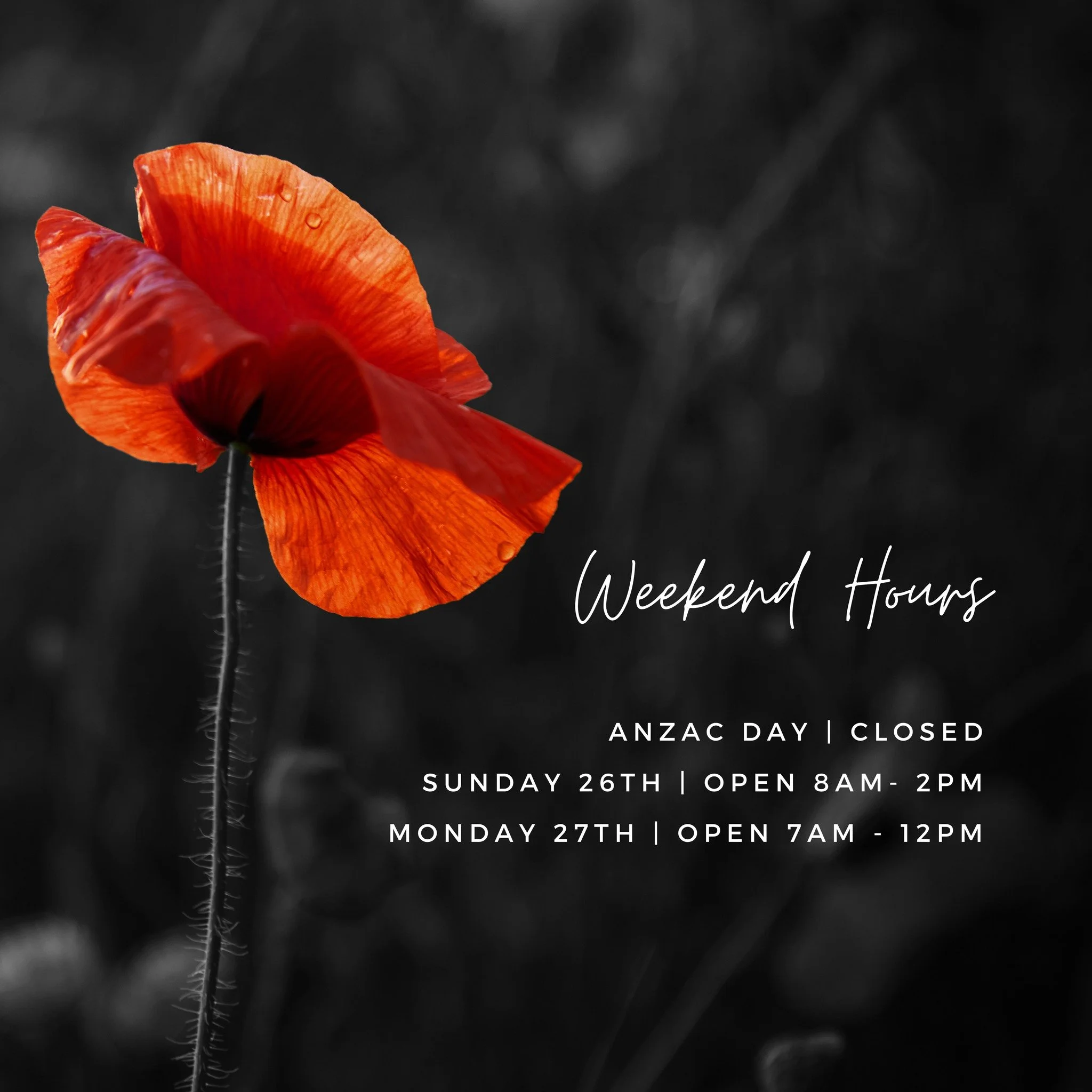 We will be CLOSED on Saturday, April 25th for ANZAC Day
as we honour and remember those who have served.

We will reopen on Sunday, April 26th, and will be open as usual from 8:00am &ndash; 2:00pm.

We will also be open on Monday, April 27th for brea