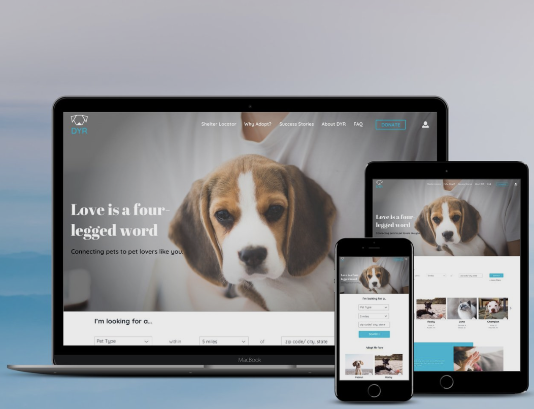 Screen Shot 2019-03-21 at 11.09.38 AM.png