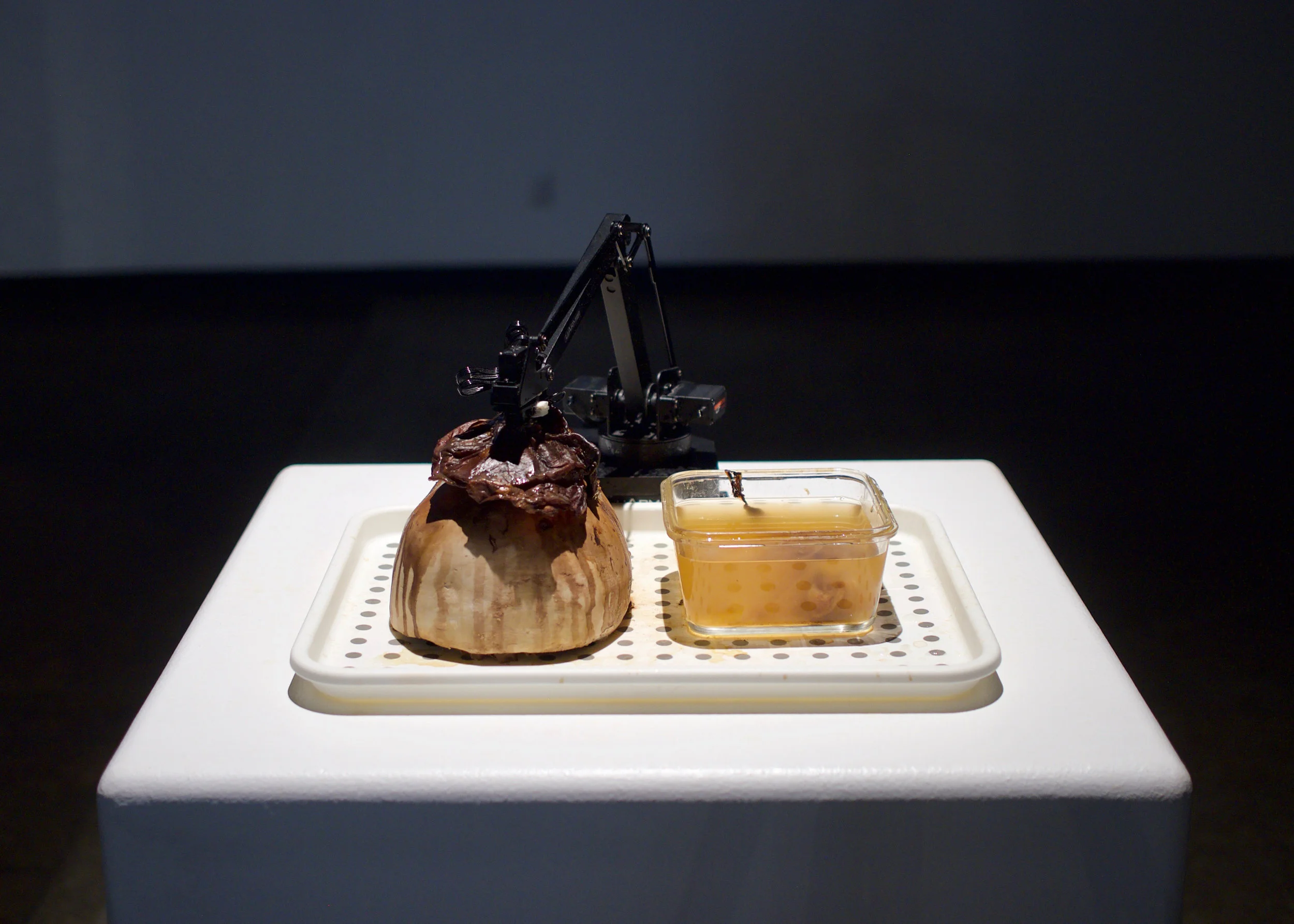Rachel Thomas | The Skin Machine