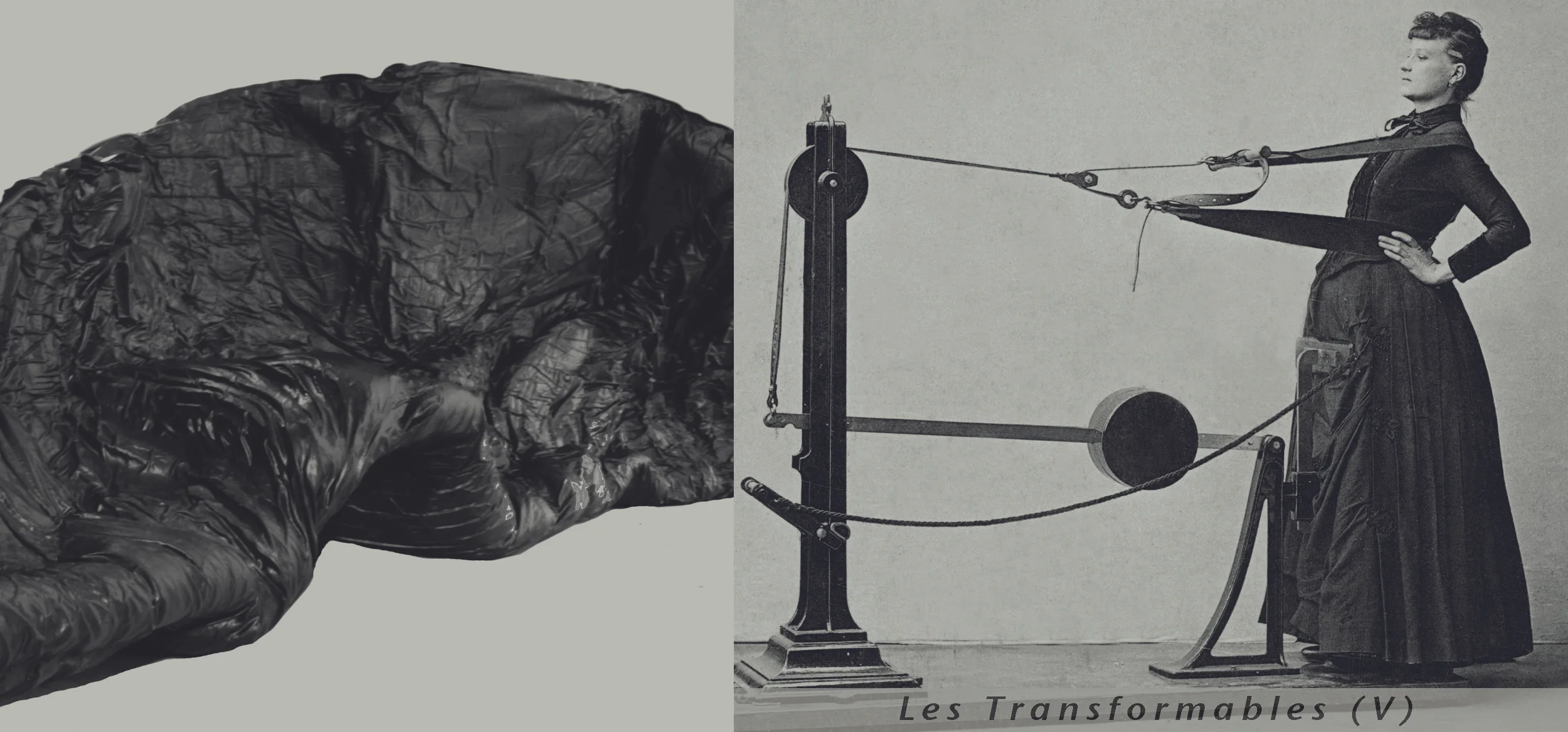 Les Transformables (V)