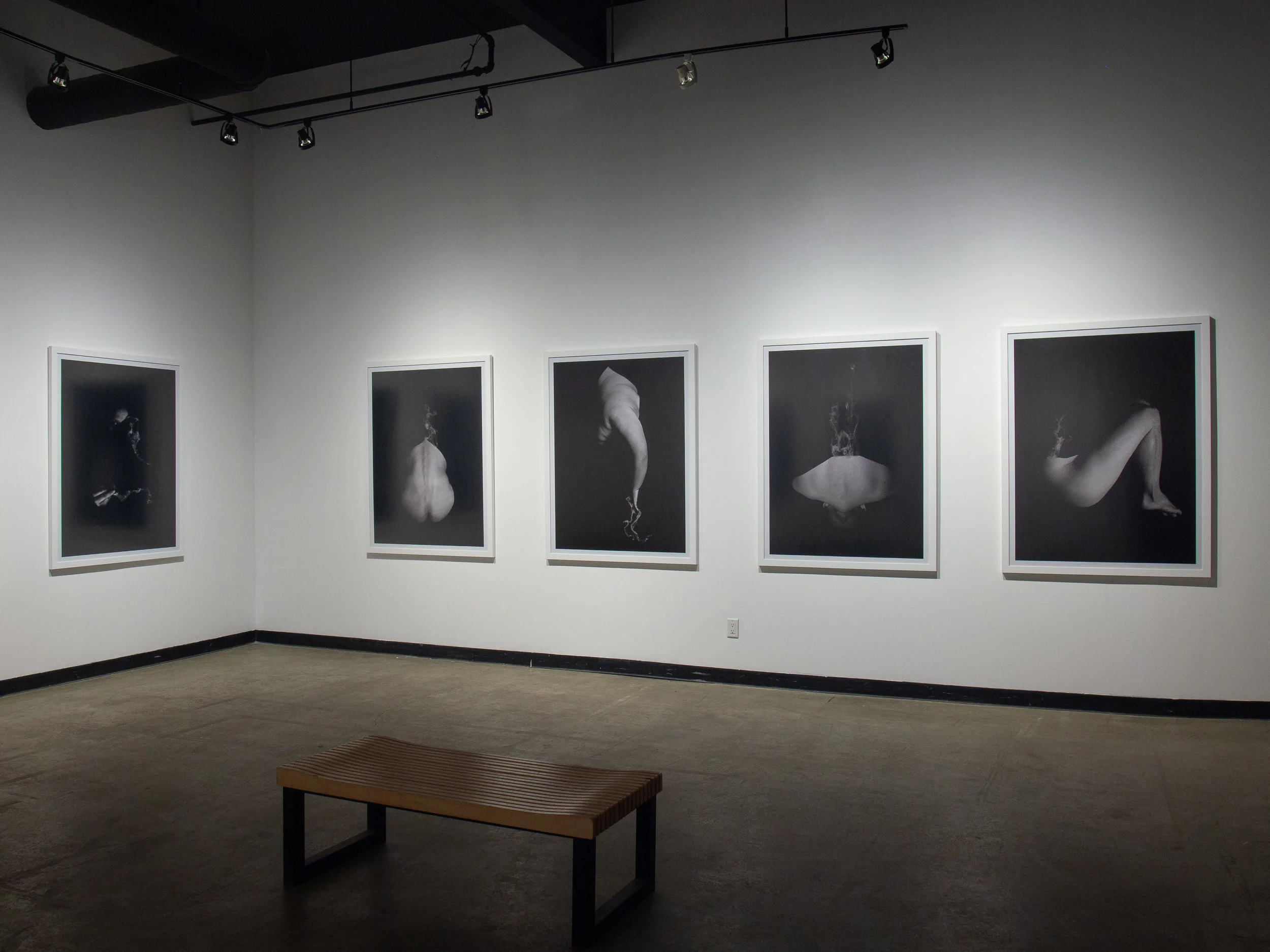 P3010524.jpg