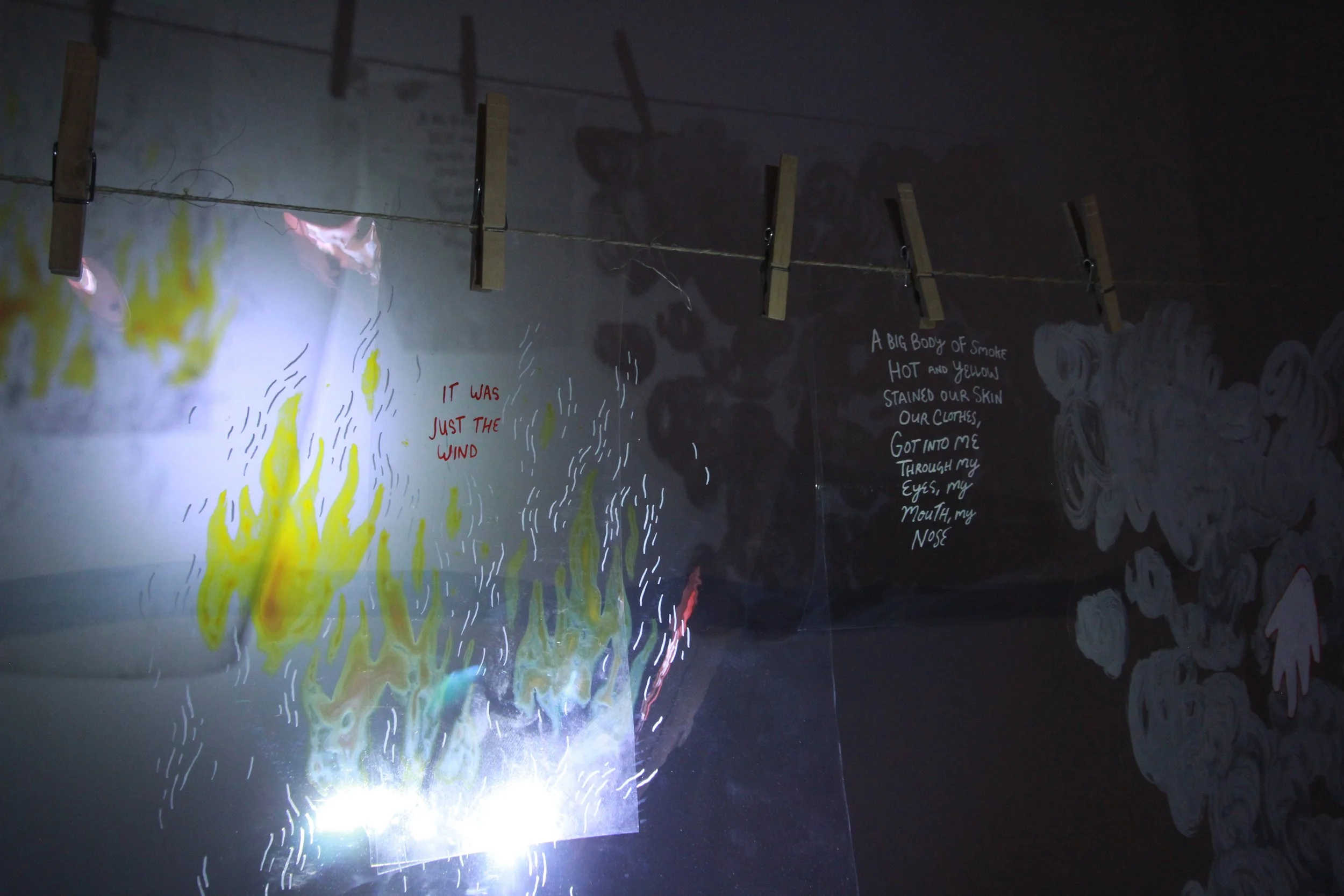 Halie Finney | Up in Smoke and Out to Dry