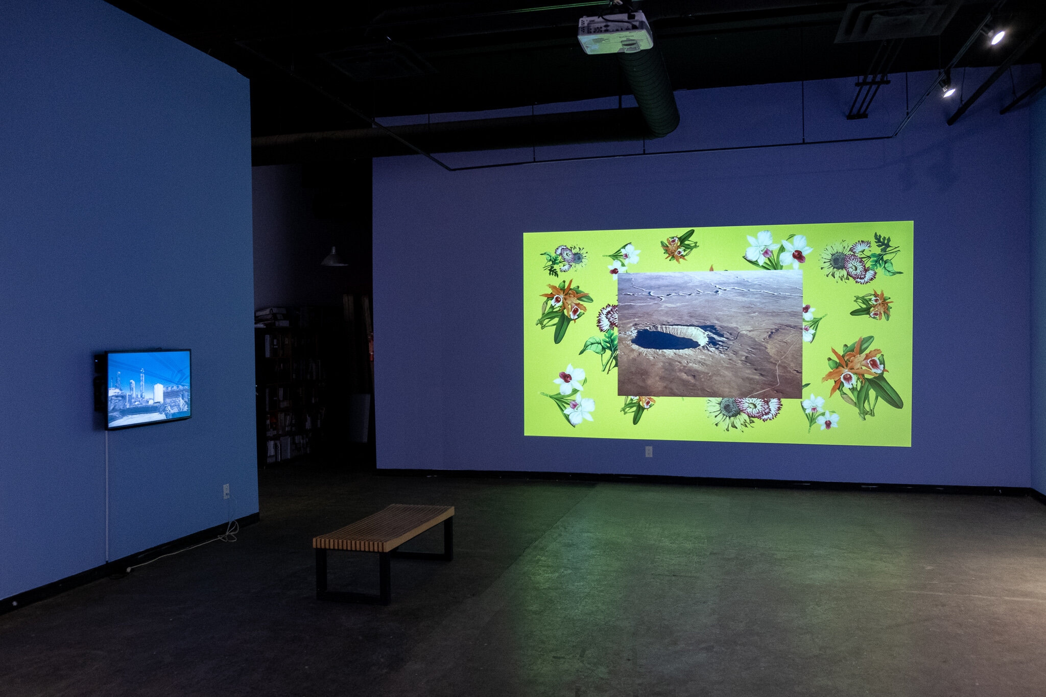  A view into the exhibition “Even the Birds are Walking”. On the wall in front of us, there is a projection of a video. The background of the video is yellow with images of white, orange, and purple flowers. On top of this background, there is a pict