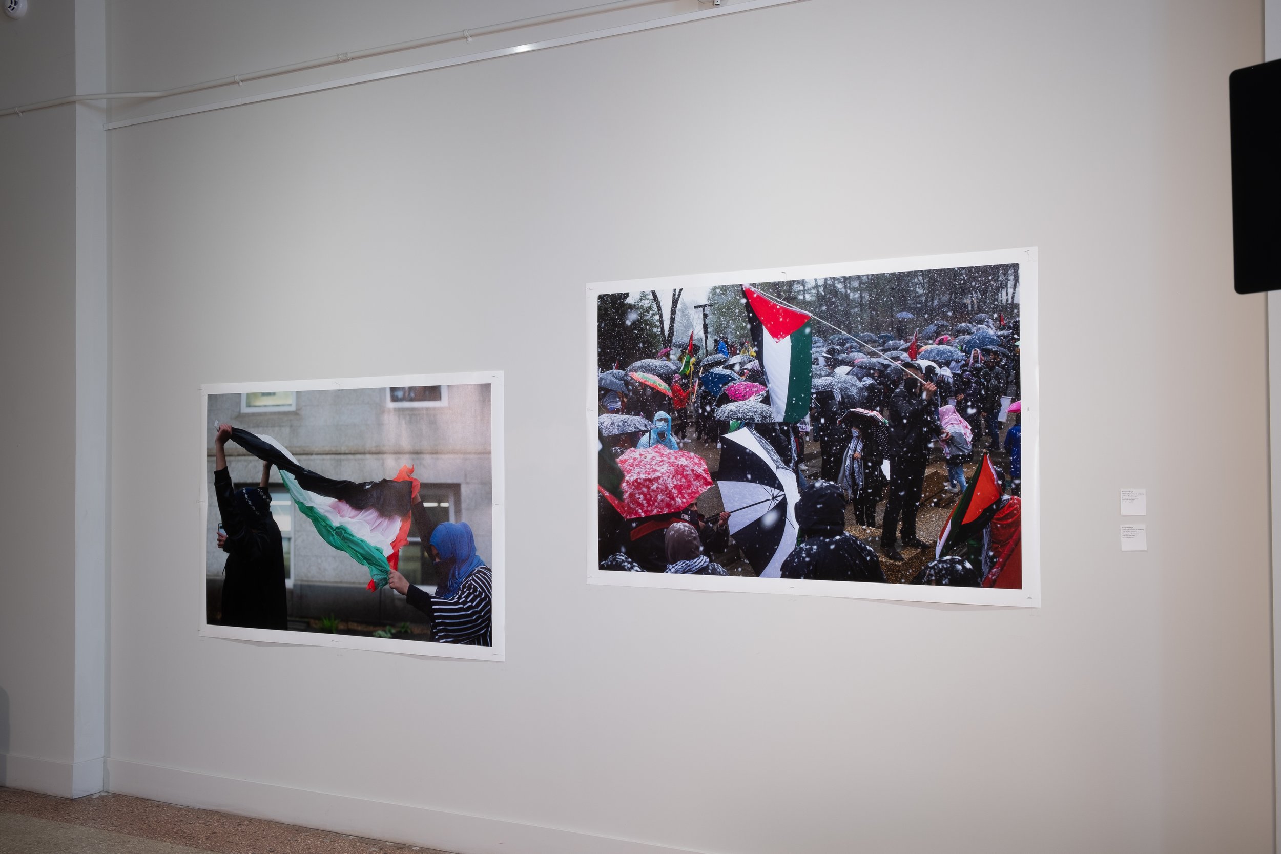 Manpreet Singh, Untitled (Edmonton in solidarity with the Palestinians)
