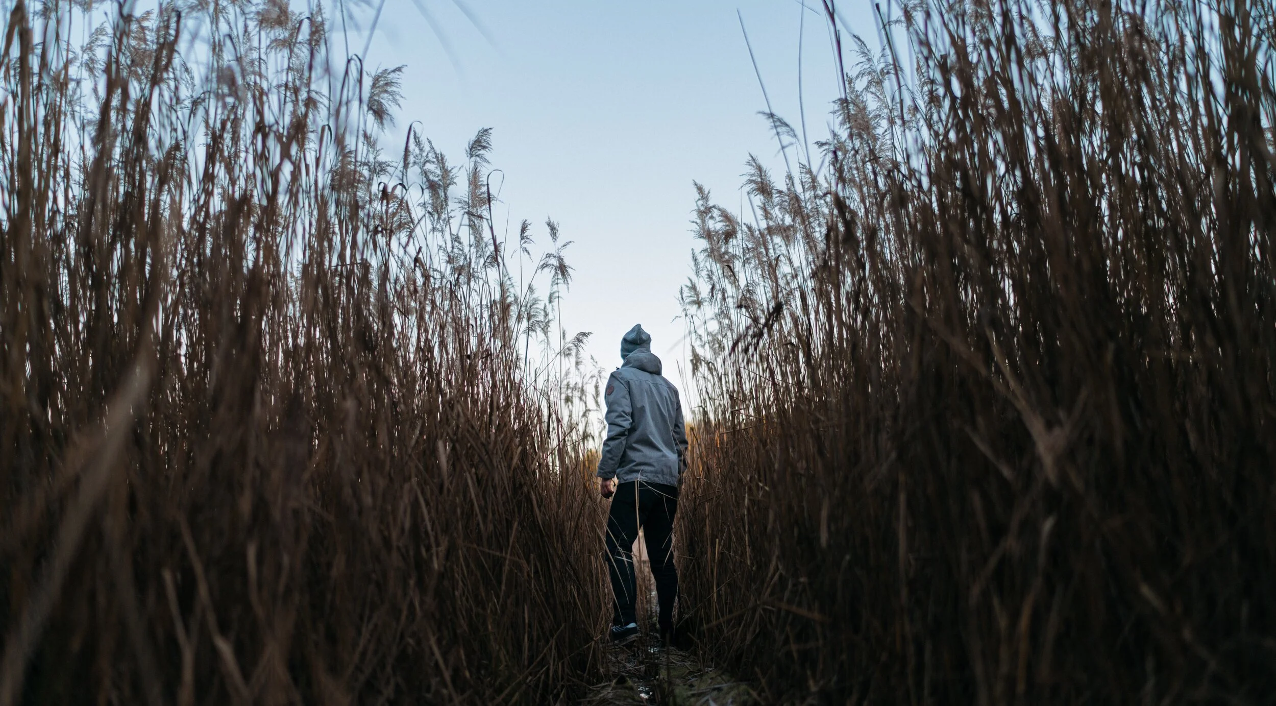 Overcoming Adversity in Sport and Life - Your Performance Guide