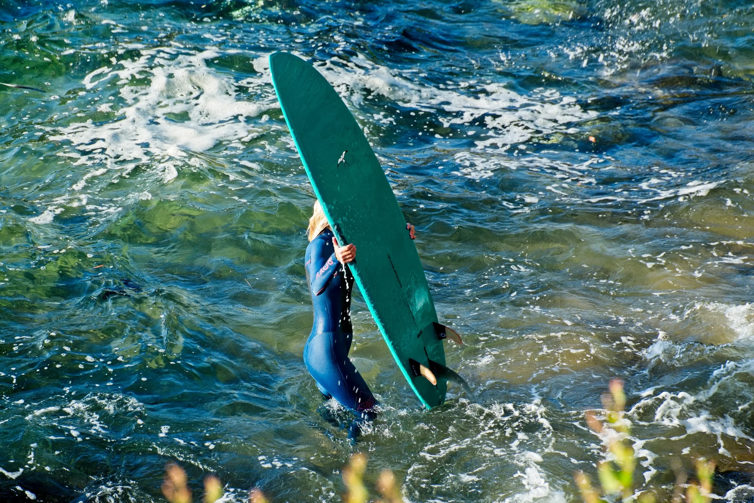 Surf Lessons every week!