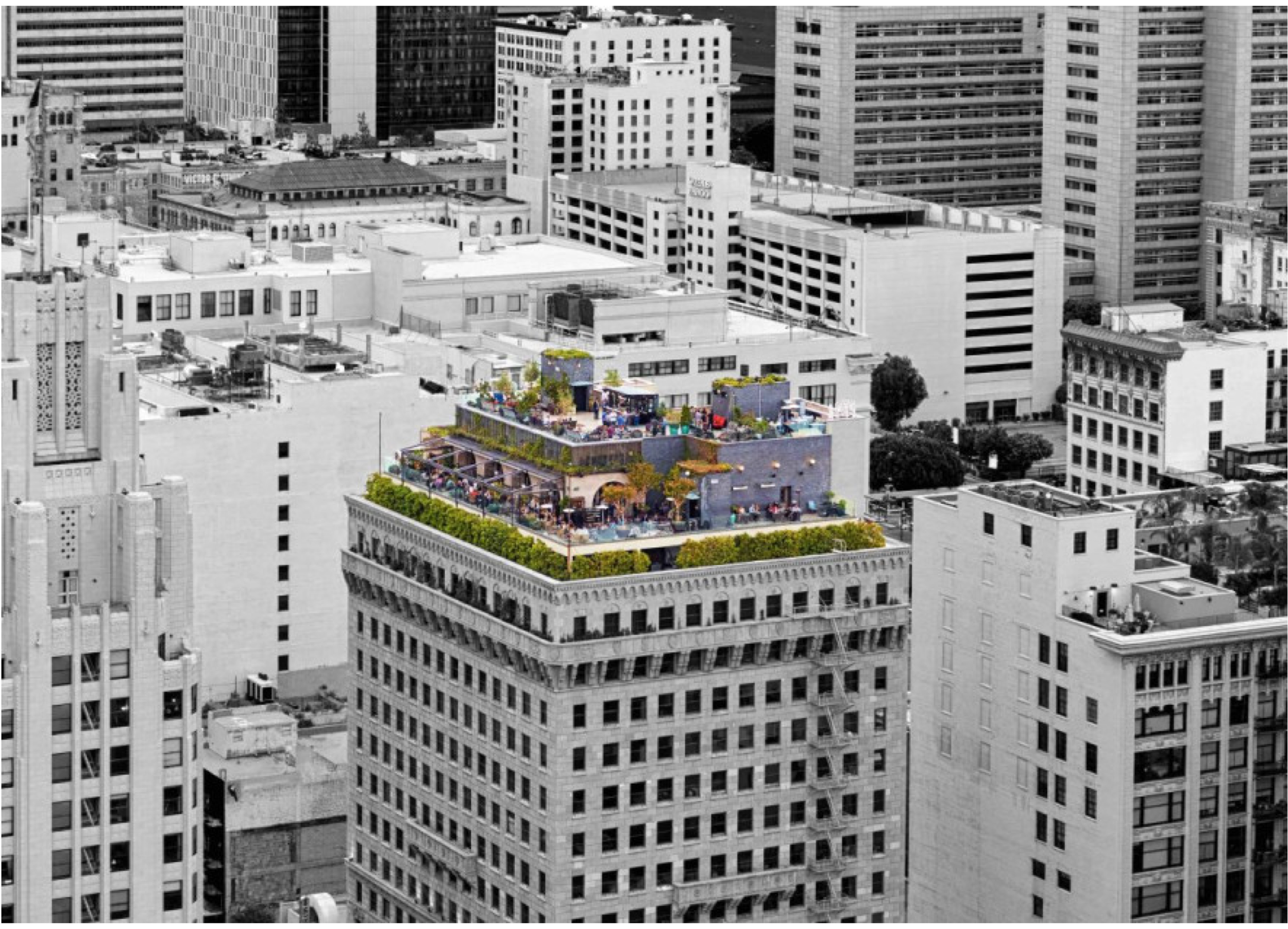 1.1 BW Color Exterior.png