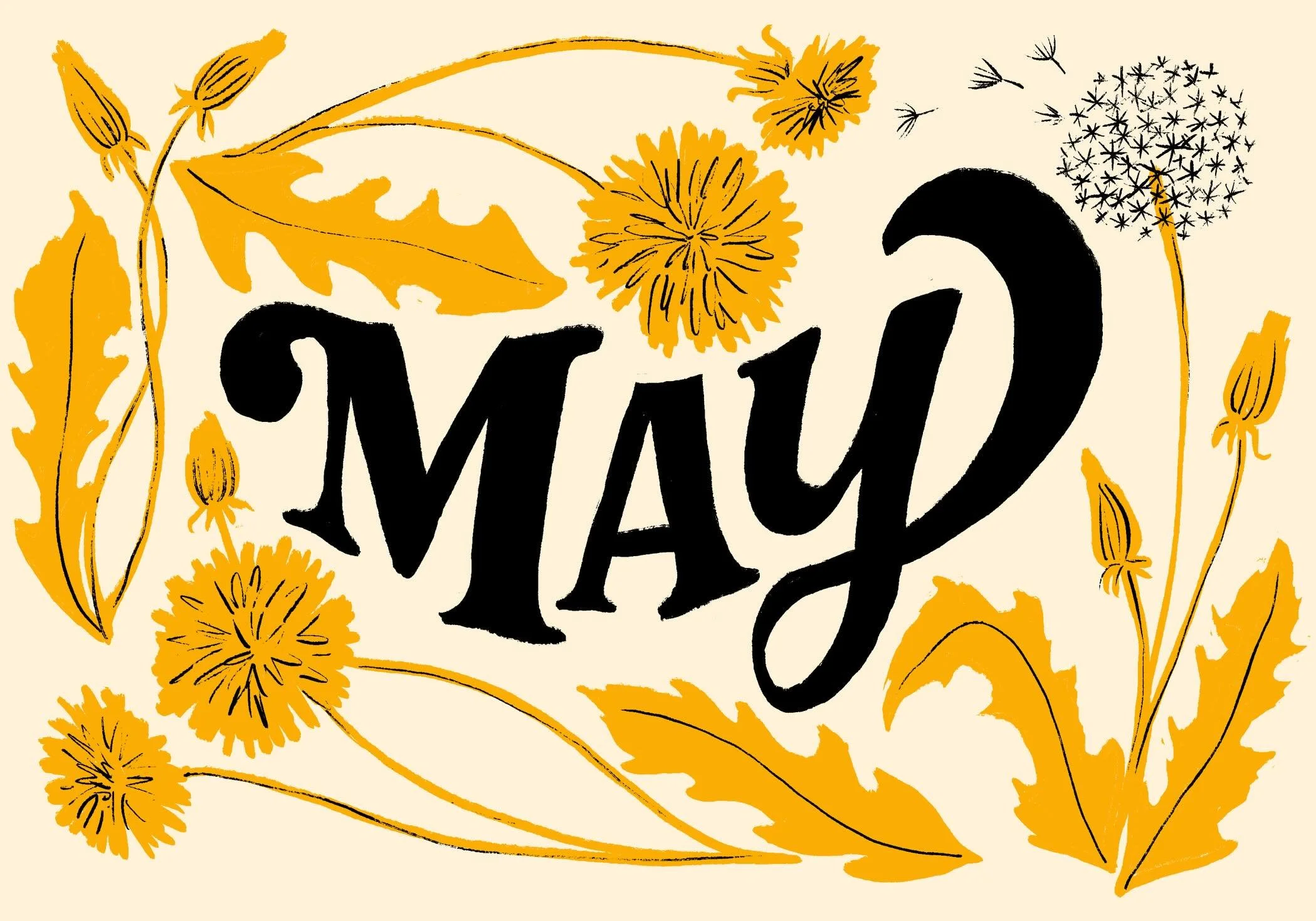 Working on a new calendar for next year. Been looking at a lot of dandelions in the yard this spring and decided it would be more enjoyable to draw them than to continue trying to pull them all.
