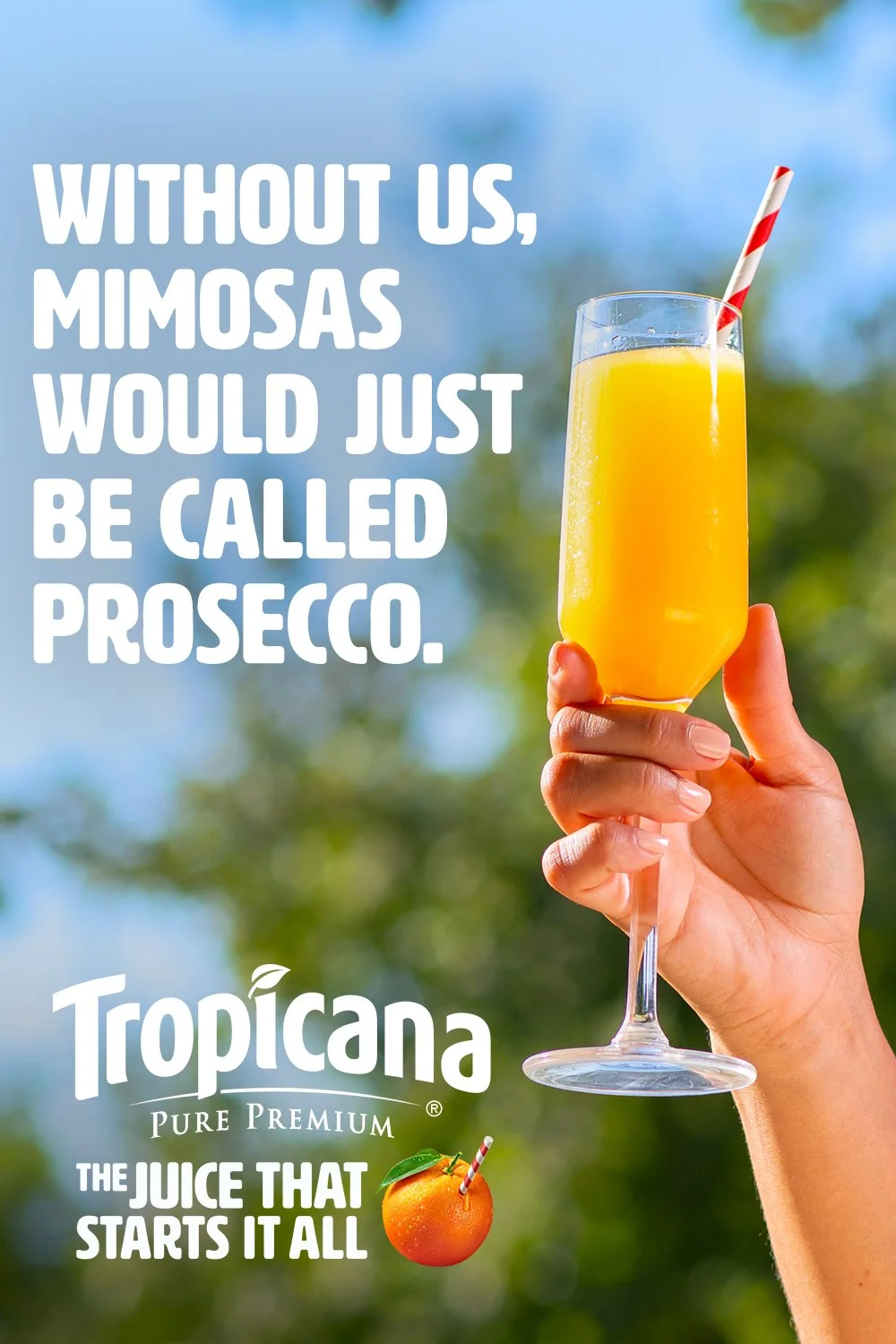 240471_TJTSIA_Pinterest_Prosecco.jpg