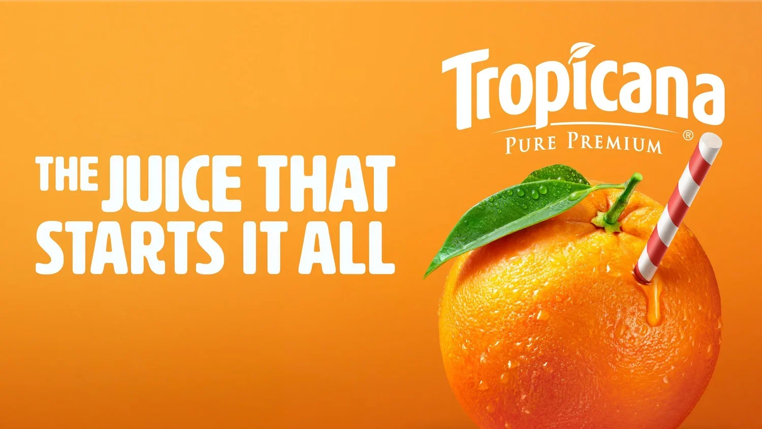Trop_1920x1080_TJTSIA.webp