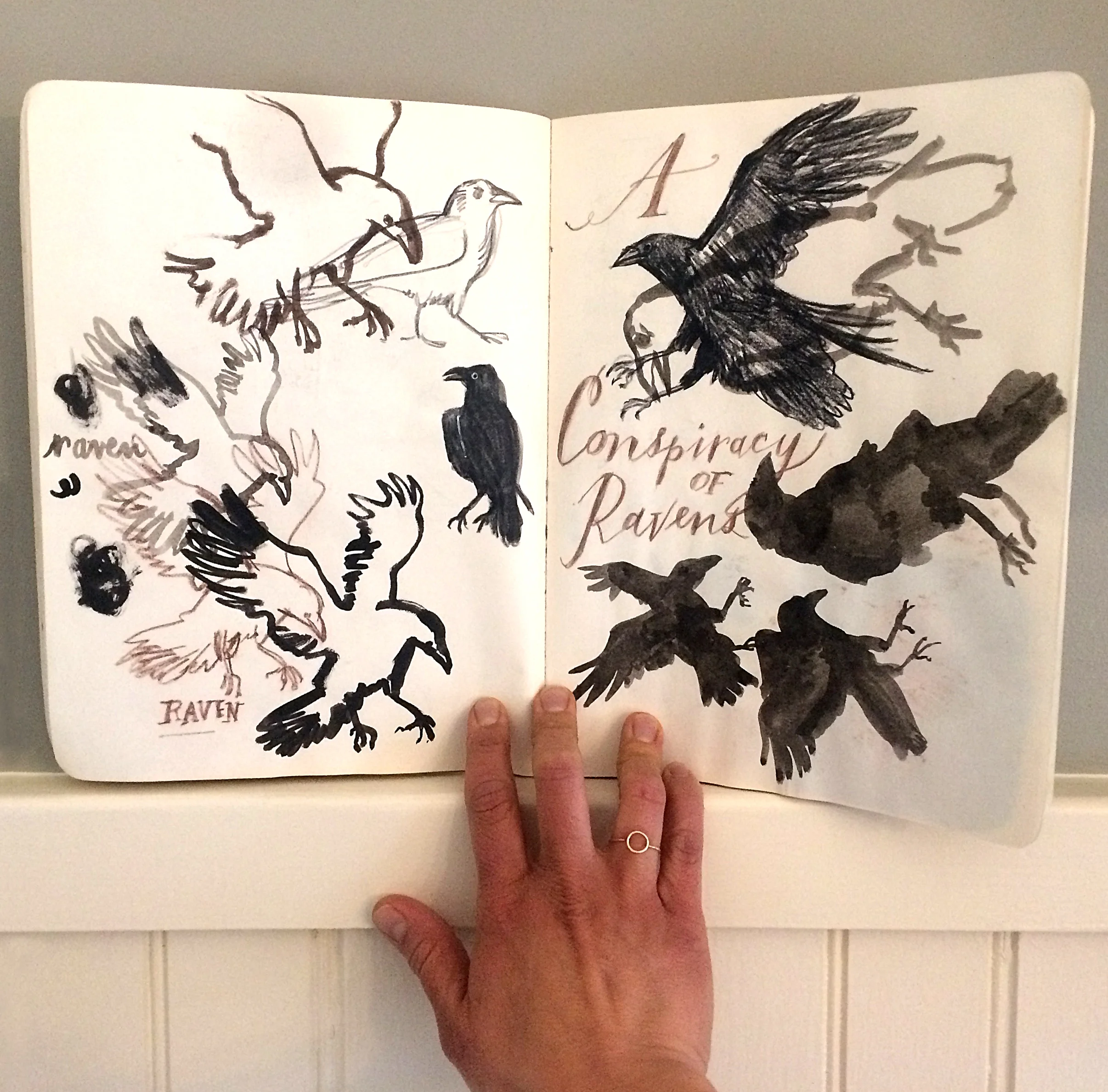 jessica_sketchbook_RAVENS.jpg