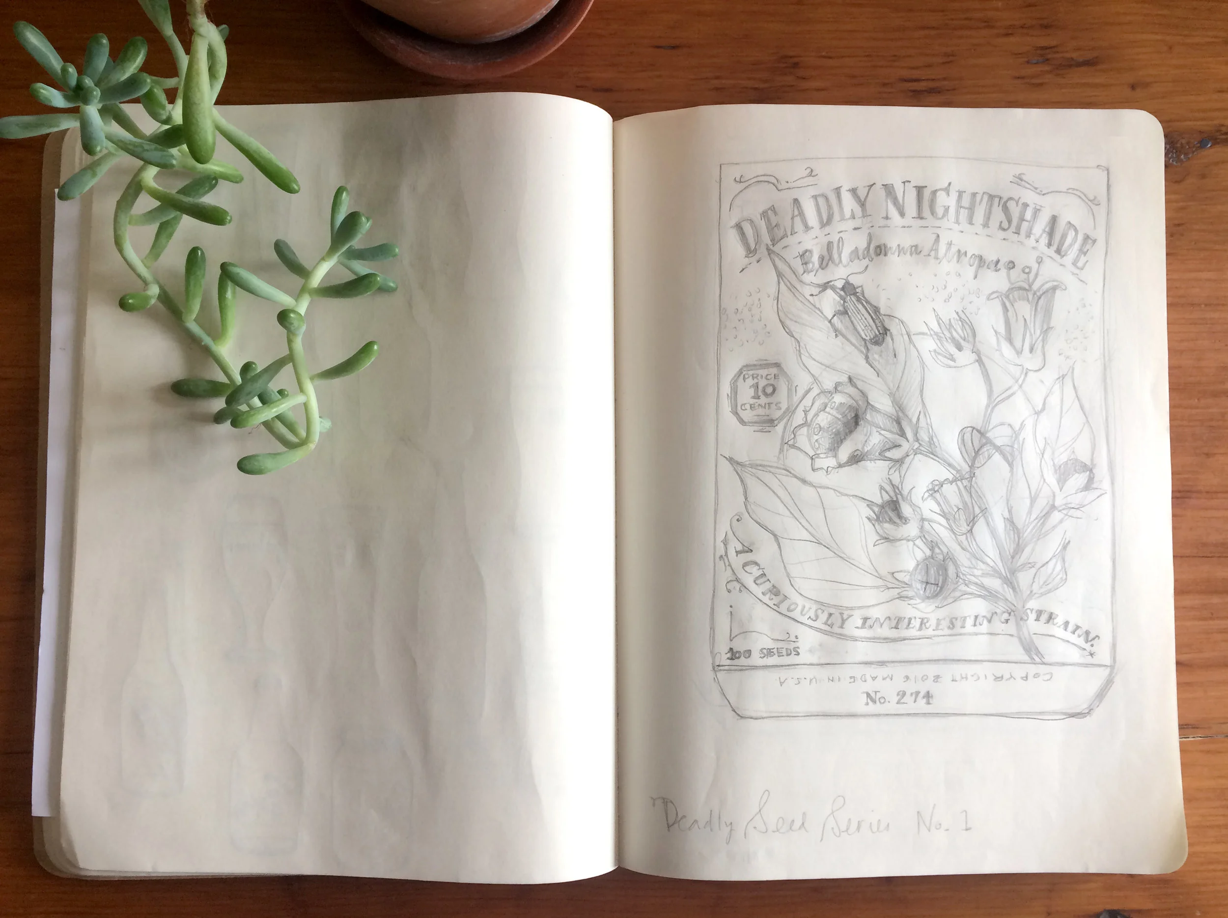 jessica_sketchbookdeadlynightshade.jpg