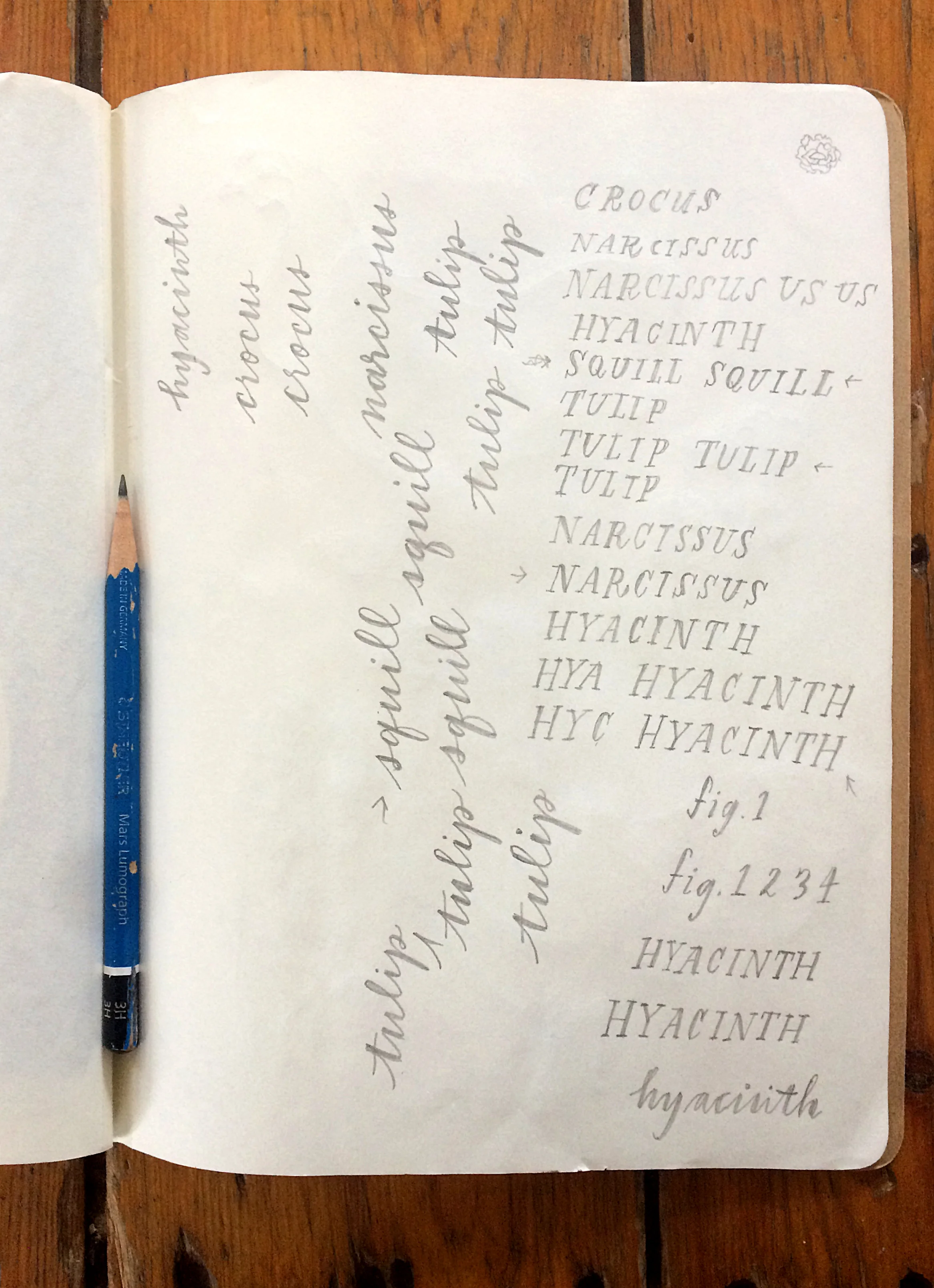 jessica_sketchbook_flowerlettering.jpg