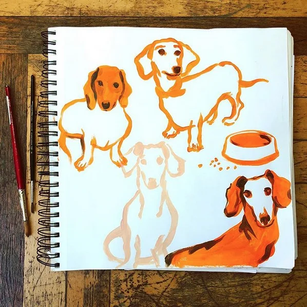 doxies.jpg