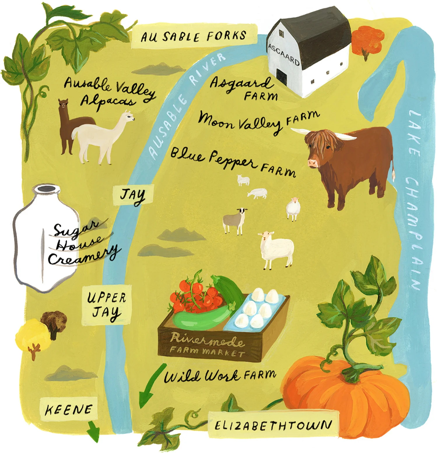 adirondack life magazine