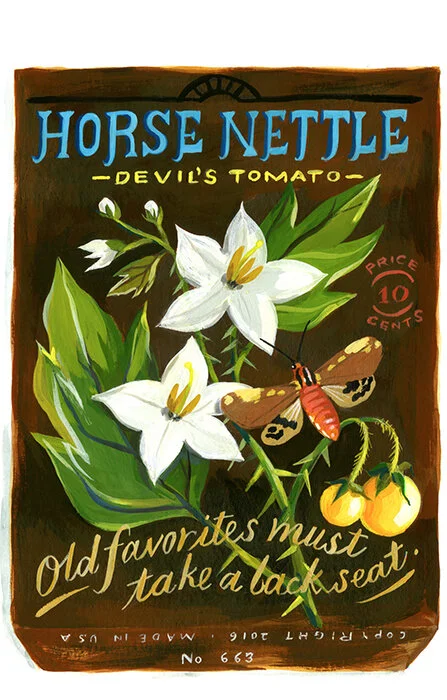 jessica_surtex2017_horsenettle.jpg