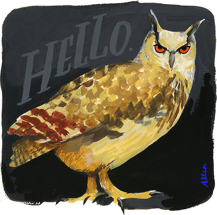 resized owl.jpg